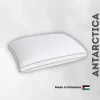 Antarctica Pillow
