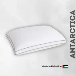 Antarctica Pillow